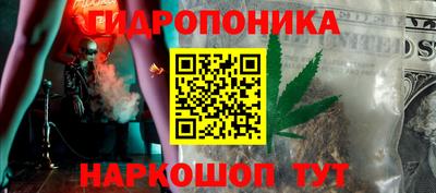 Альфа ПВП Будённовск