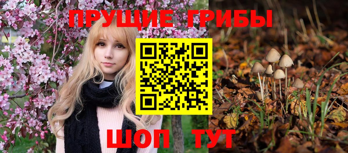 Галлюциногенные грибы Psilocybe Лабытнанги